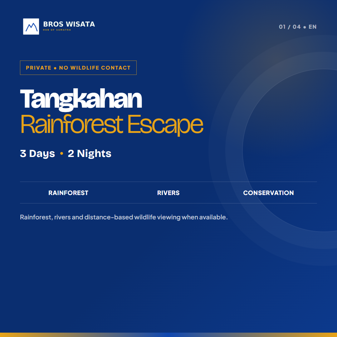 Tangkahan rainforest and distance-based elephant viewing