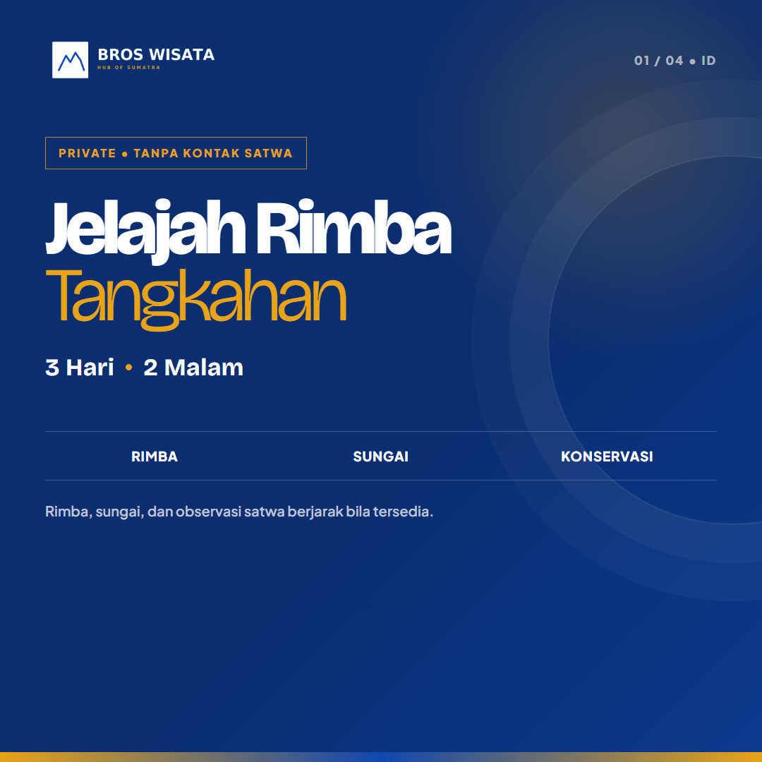 Tangkahan rimba dan observasi gajah berjarak